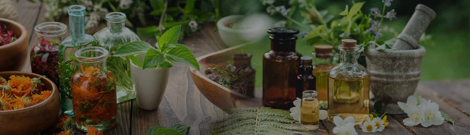 Ayurvedic Medicine PCD Company